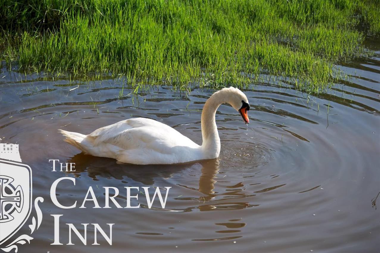 Carew Inn מראה חיצוני תמונה